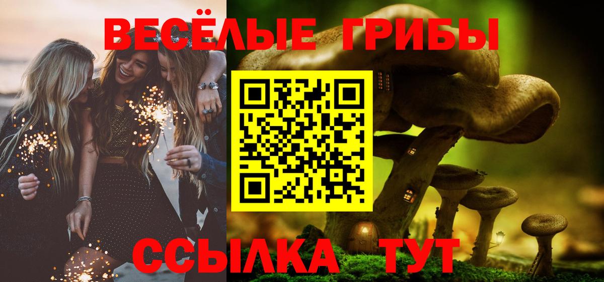 Псилоцибиновые грибы Magic Shrooms Каменск-Уральский