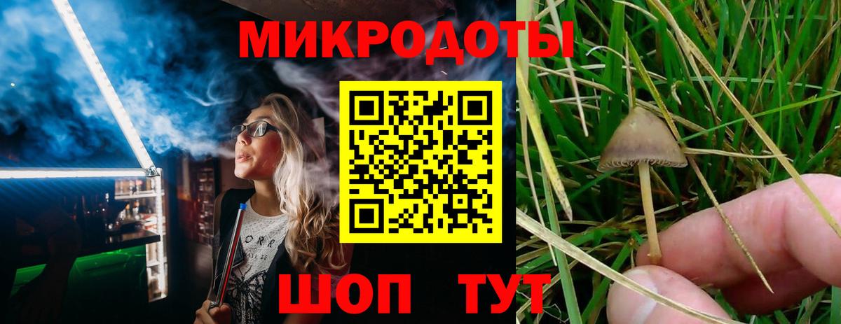 Каменск-Уральский  Псилоцибиновые грибы Psilocybine cubensis  Вход с VPN 