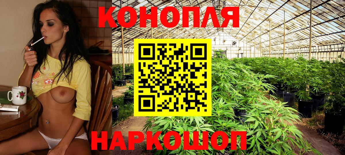 Шишки марихуана Amnesia Каменск-Уральский